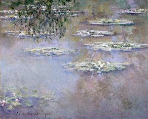 Monet_Water-Lilies_1903_DAI